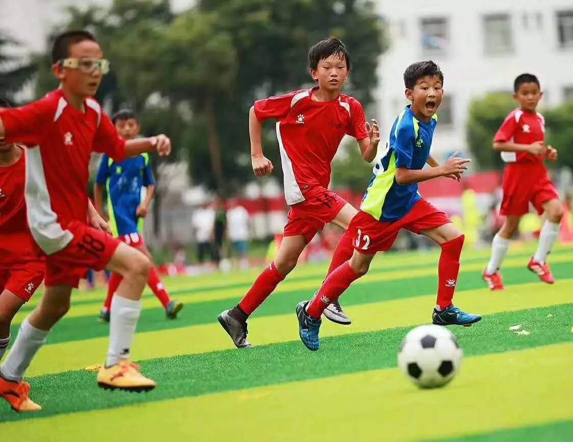 甲亢哥上海直播掀翻西方滤镜：6小时让世界看清真实中国